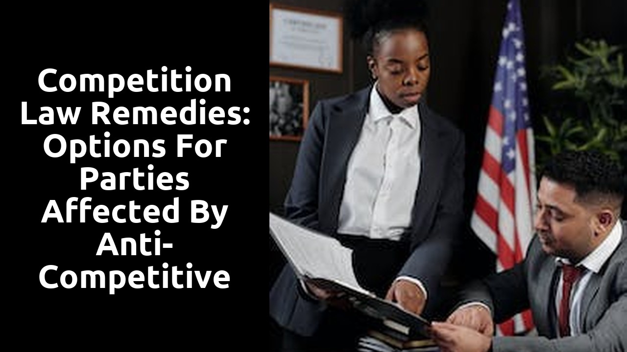 Competition Law Remedies: Options for Parties Affected by Anti-Competitive Practices